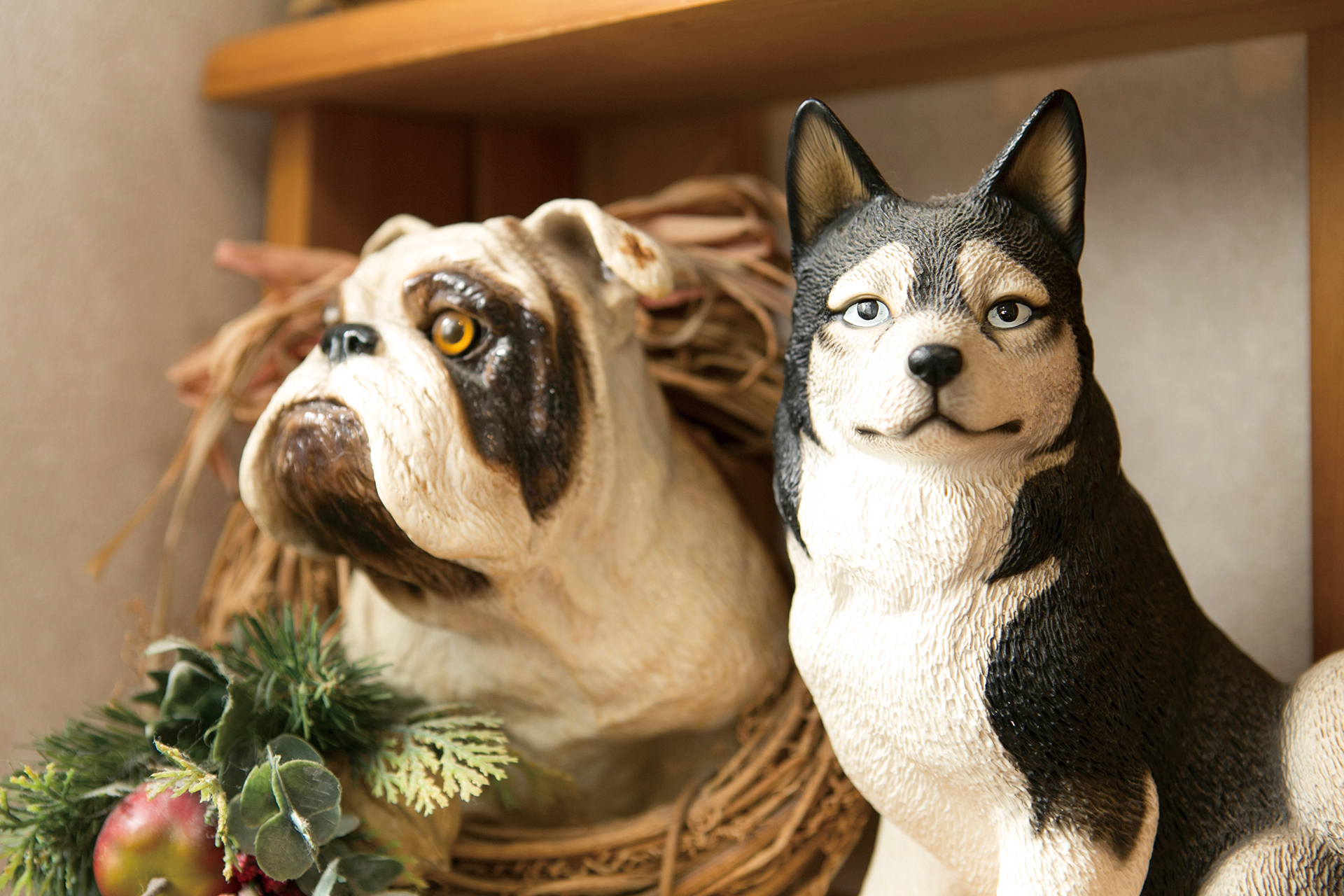 犬猫の心臓病