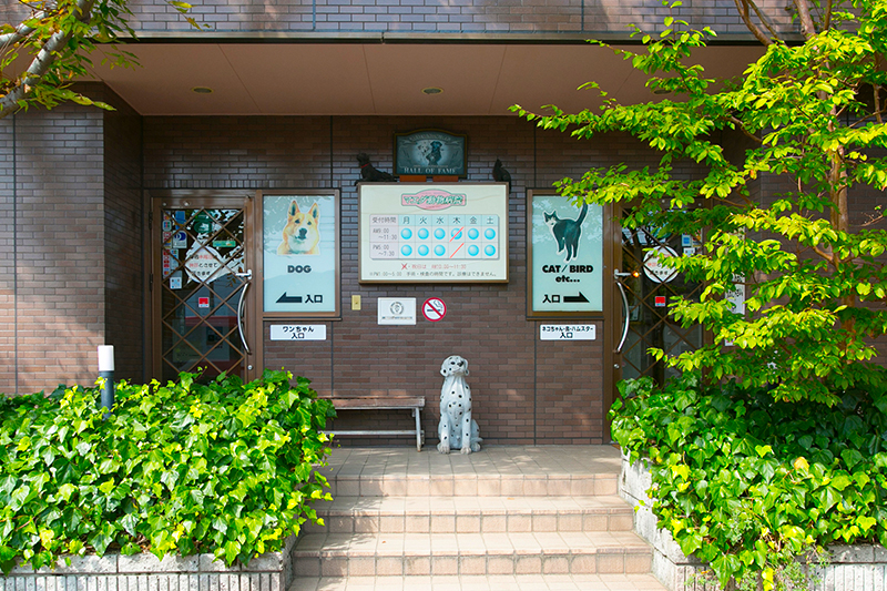 病院らしくない雰囲気でお迎えします