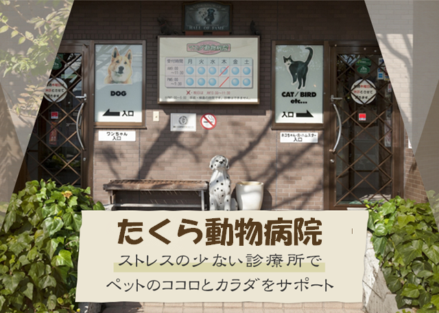 ストレスの少ない診療所でペットのココロとカラダをサポート